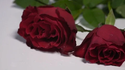 Two red roses falling onto a white surface splashing dew Stock Footage 123584299