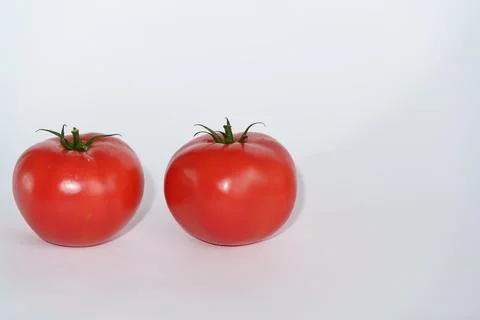 Two red rounded tomatoes with smooth glossy Stock-Fotos