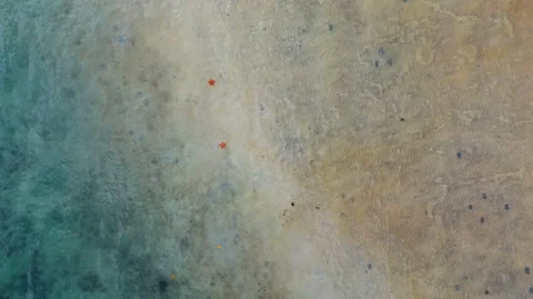 Two Red Starfish on Sandy Shallow Ocean Floor Top View. Two red starfish rest on Stock Footage 335652425
