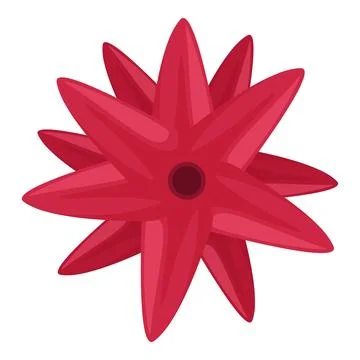 Two red starflowers overlapping creating a beautiful floral design Stock Illustration