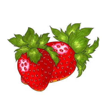 Two red strawberries on a white background Stock Illustration