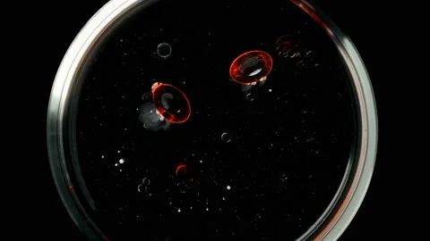 Two red tablets dissolve in water Stock Footage 100198560