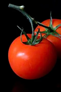 Two red tomatoes Stock Photos