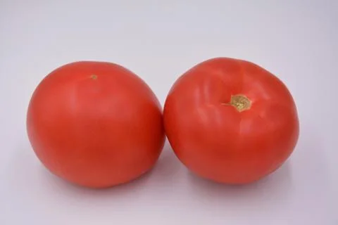 Two red tomatoes on white background Stock Photos