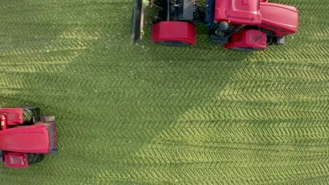 Two Red Tractors Tamp Silage in the Silo Trench Stock Footage 220516974