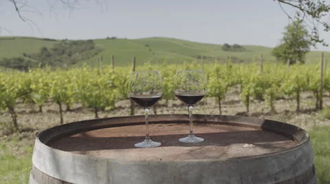 Two Red wine glasses at vineyard in Italy Stock Footage 65188537