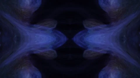 Two Regal Blues with black in the middle Stock Footage 257024239