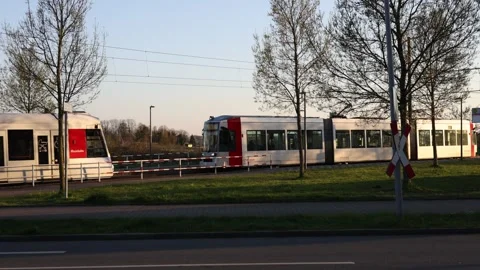 Two Rheinbahn trams crossing at stop in evening sun Stock Footage 331192992