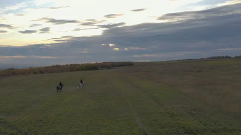Two riders gallop across the field. Aerial shot. Stock Footage 123793807