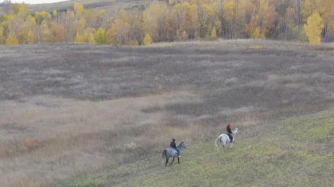 Two riders on horseback in the field. Stockbeeldmateriaal 123796557