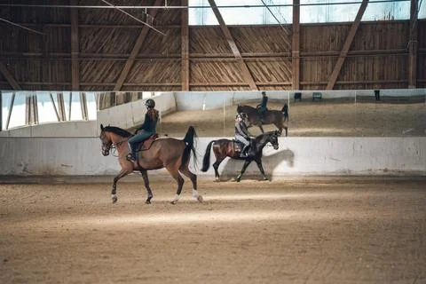 Two riders practicing with horses in a large indoor riding academy with mirrors Photos