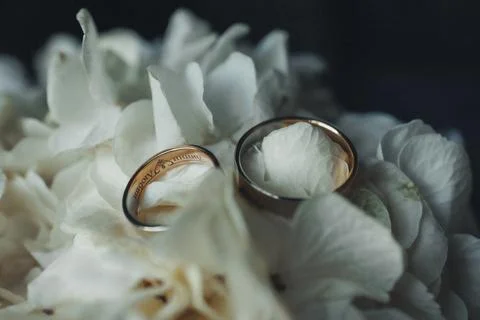 Two rings rest on delicate white petals 스톡 사진