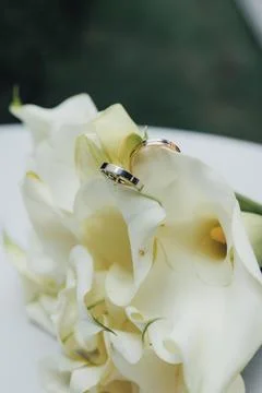 Two rings rest gently on white calla lilies Foto stock