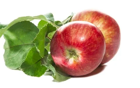 Two ripe apples Stock Photos
