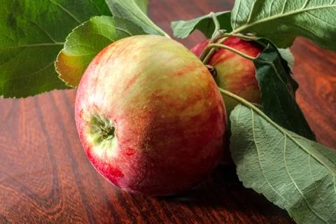 Two ripe apples Stock Photos