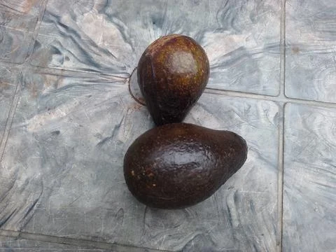 Two ripe avocados on a patterned gray surface. Stock Photos