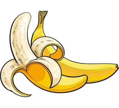 Two ripe bananas, one open, another unopened and unpeeled Stock Illustration