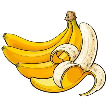 Two ripe bananas, one open, another unopened and unpeeled Stock Illustration