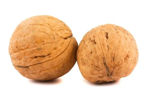 Two ripe brown walnuts Stock Photos