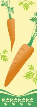 Two ripe carrots 스톡 일러스트
