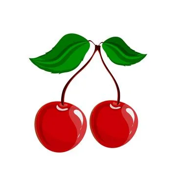 Two ripe cherries on a white background, vector illustration. Delicious food Stock Illustration