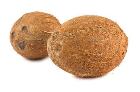 Two ripe coconuts Stock Photos