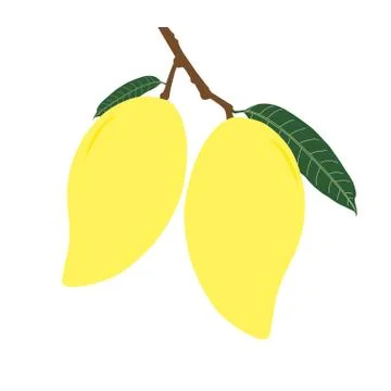 Two ripe mango and leaf with branch Stock Illustration