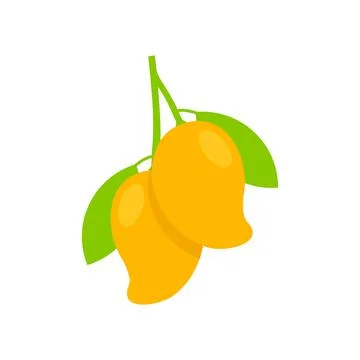 Two Ripe Mango vector illustration isolated on white background Stock Illustration