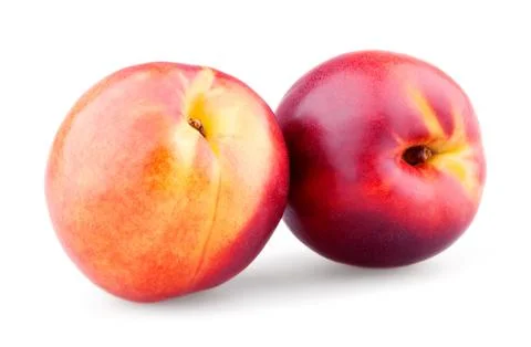 Two ripe nectarines Stock Photos