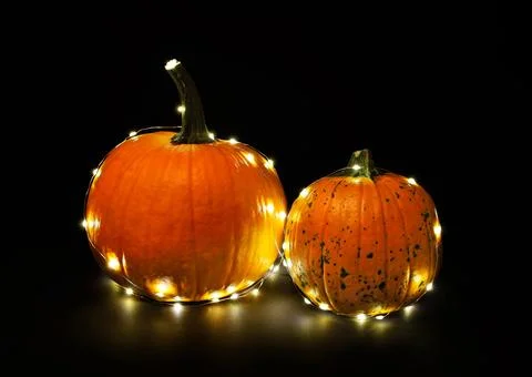 Two ripe orange pumpkins wrapped around a string lights garland on black ba.. Stock Photos