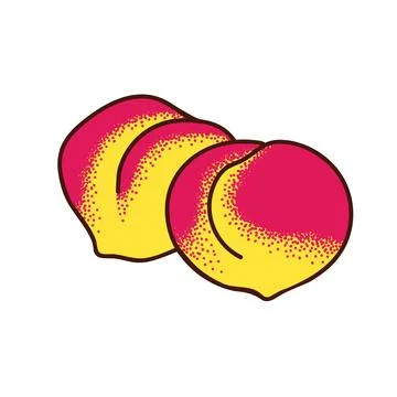 Two ripe peaches. Vector doodle illustration on white background. Stock Illustration