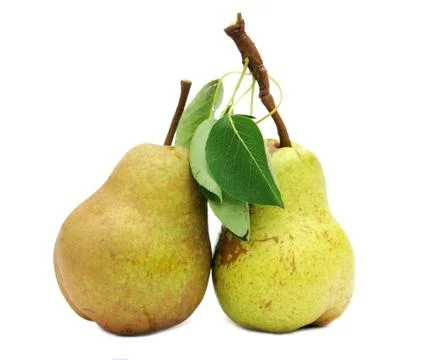 Two ripe pears Stock Photos
