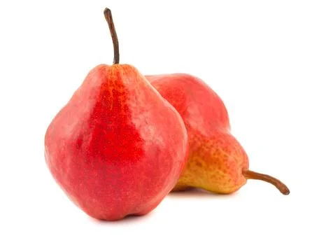 Two ripe pears Stock Photos
