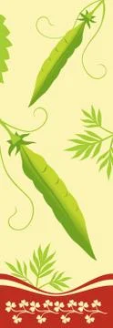 Two ripe peas Stock Illustration
