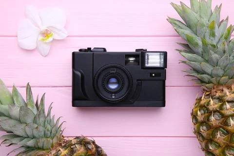 Two ripe pineapples with camera on a pink background Stock Photos