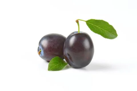 Two ripe plums Stock Photos