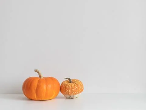 Two ripe pumpkins on a white table with copy space. Autumn pumpkin harvest. Stock Photos