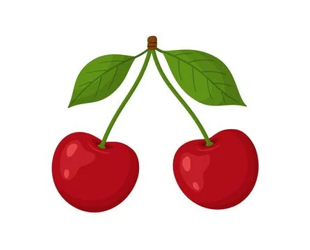 Two ripe red cherries on single stem with two green leaves. Hand drawn flat.. Stock Illustration