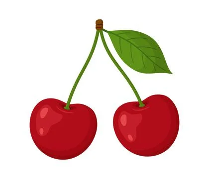 Two ripe red cherries on single stem with green leaf. Hand drawn flat style.. Illustrazione stock