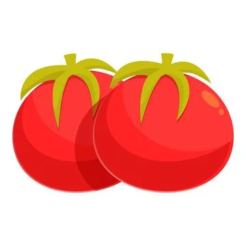 Two ripe red tomatoes growing on the vine Stock Illustration
