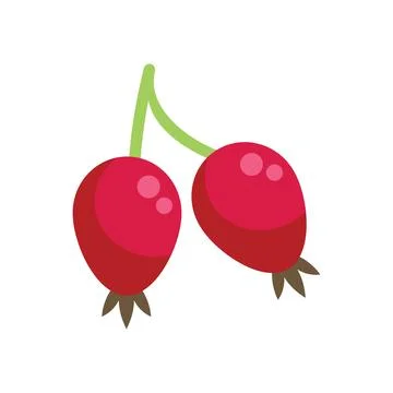 Two ripe rose hips hanging from green stem Stock Illustration