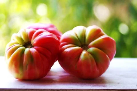 Two ripe tomatoes on the table Stock Photos