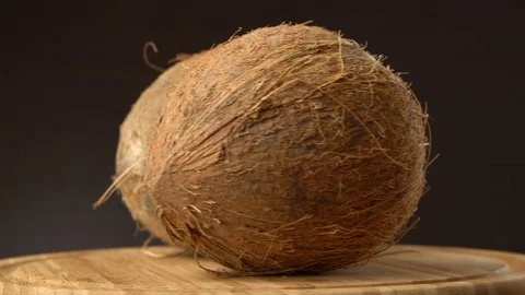 Two ripe tropical coconuts rotating on a wooden table against black background Stock Footage 70504269