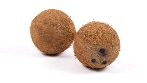 Two ripe whole tropical coconuts rotating on white background. Tropical fruits Stock Footage 87618151