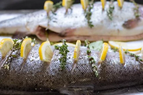 Two river fish trout on baking tray stuffed with lemon wedges and a sprig of Foto stock