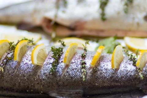 Two river fish trout on baking tray stuffed with lemon wedges and a sprig of  Foto stock
