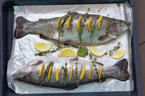 Two river fish trout on baking tray stuffed with slices of lemon and sprigs o Stock Photos