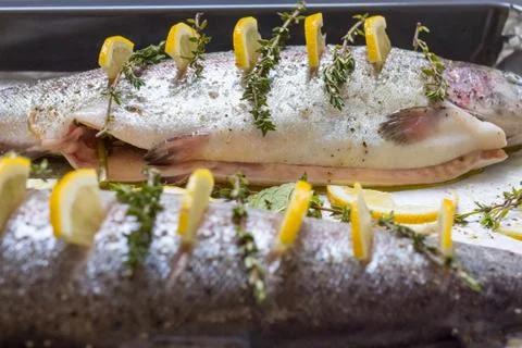 Two river fish trout on baking tray stuffed with lemon wedges and a sprig of  Stock Photos