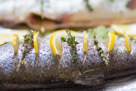 Two river fish trout on baking tray stuffed with lemon wedges and a sprig of  Stock Photos
