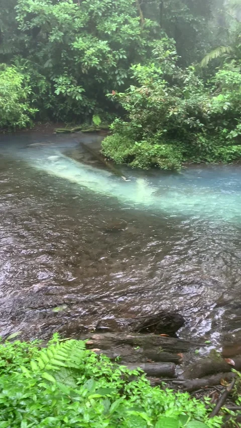 Two rivers meet to create exotic colors Costa Rica, Tenorio Volcano National  Stock Footage 165066140
